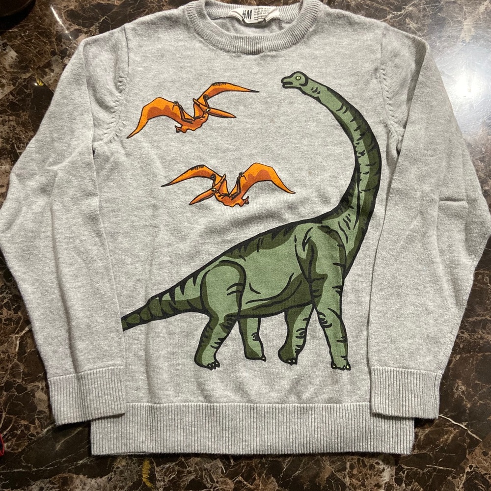 brand new condition ! Dinosaurs Sweater!